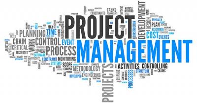 project-management-dissertation